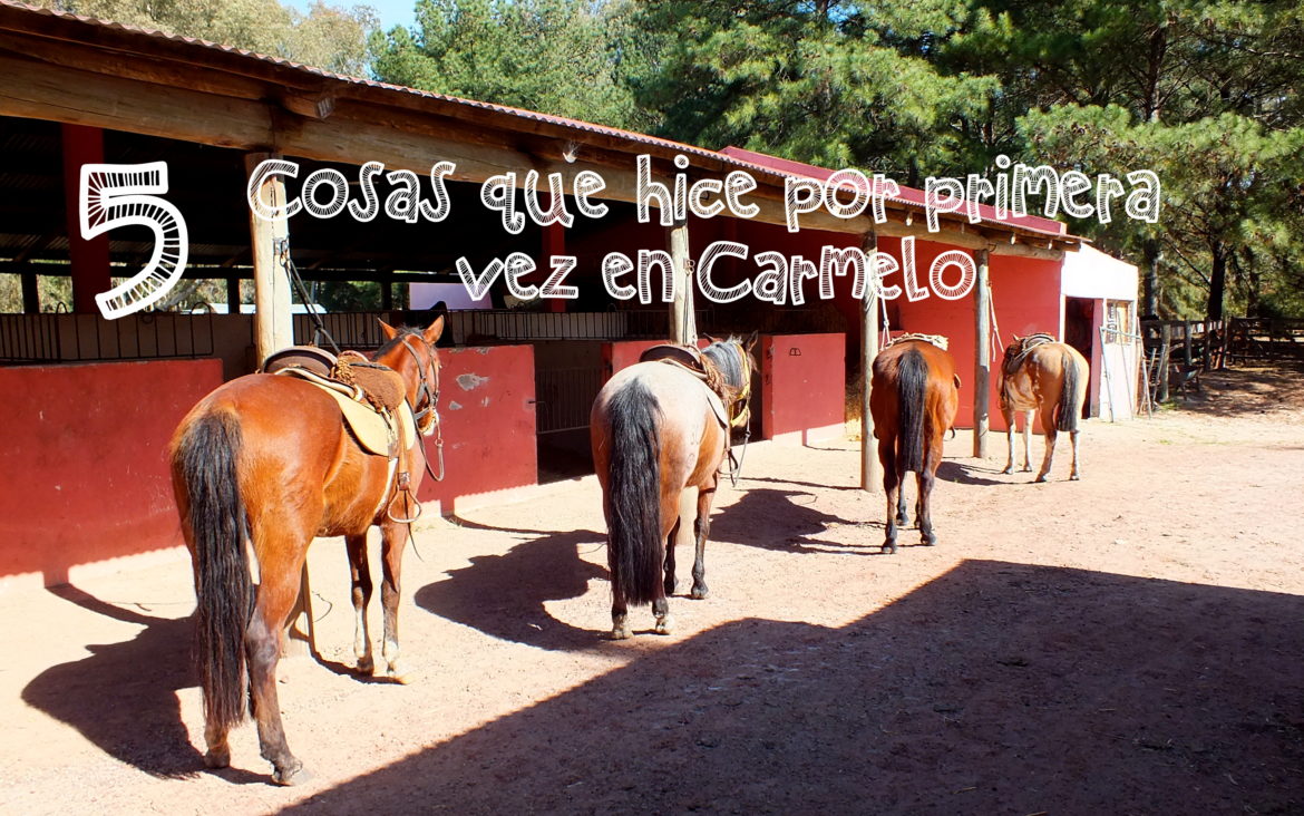 5 Cosas que hice por primera vez en Carmelo