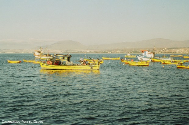 Coquimbo