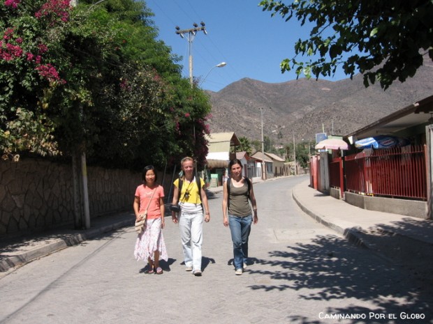 Valle del Elqui