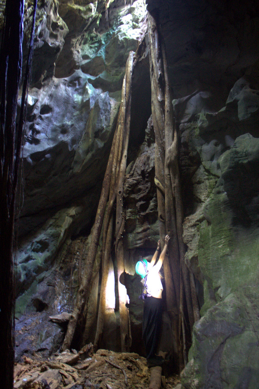 Cavernas de Vallemi