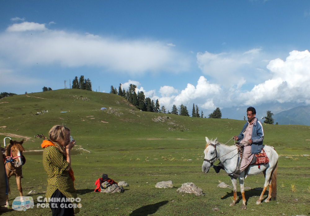 shogran-12