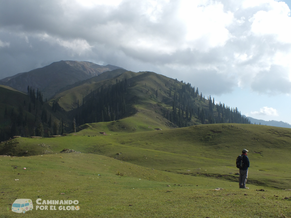 shogran-5