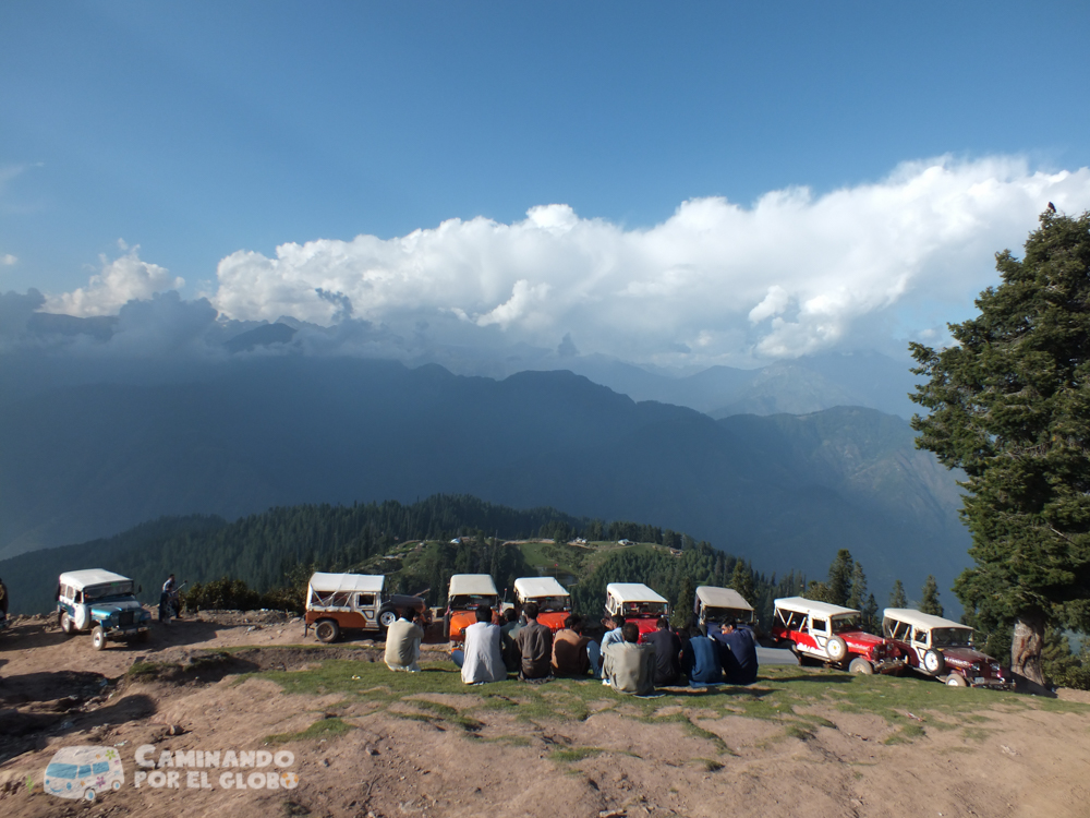 shogran-9