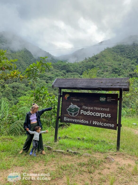 Guía para visitar el Parque Nacional Podocarpus – Zamora