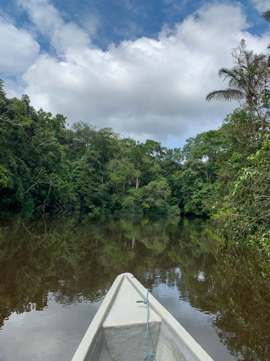selva de cuyabeno