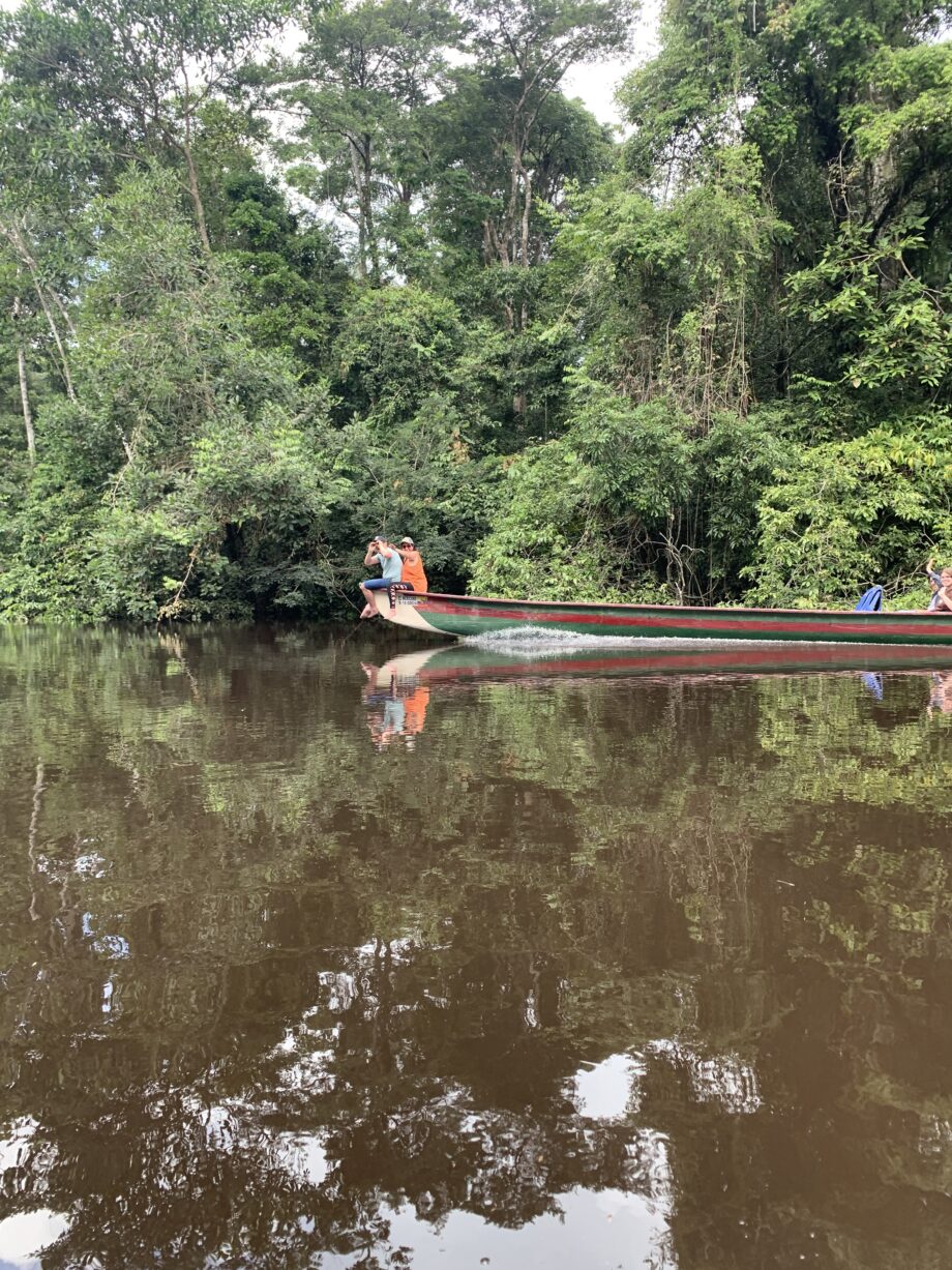 selva de cuyabeno