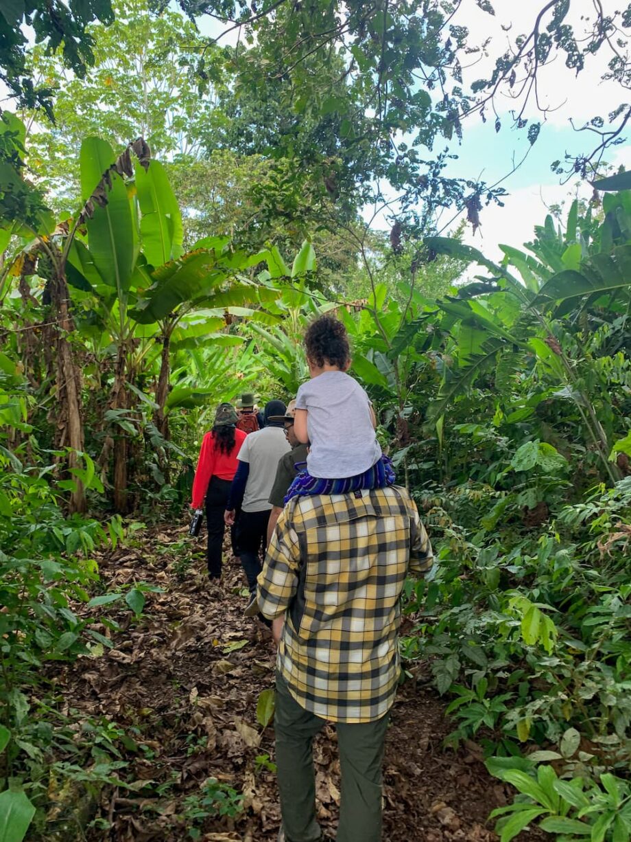 selva de cuyabeno